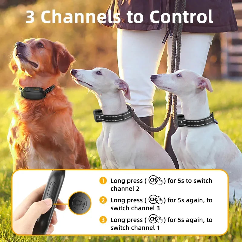 ROJECO E-Collar